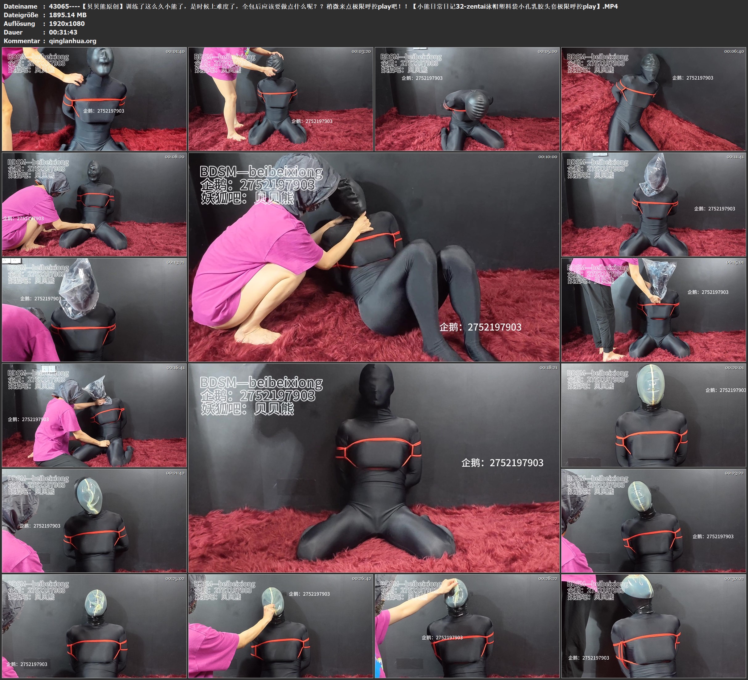 43065----【贝贝熊原创】训练了这么久小熊了，是时候上难度了，全包后应该要做点什么.jpg