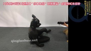 【奴舍】UU体验Zentaik9关小黑屋（上）